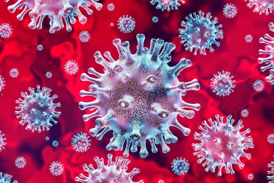 A picture containing coelenterate, polyp, colorful, several
Description automatically generated